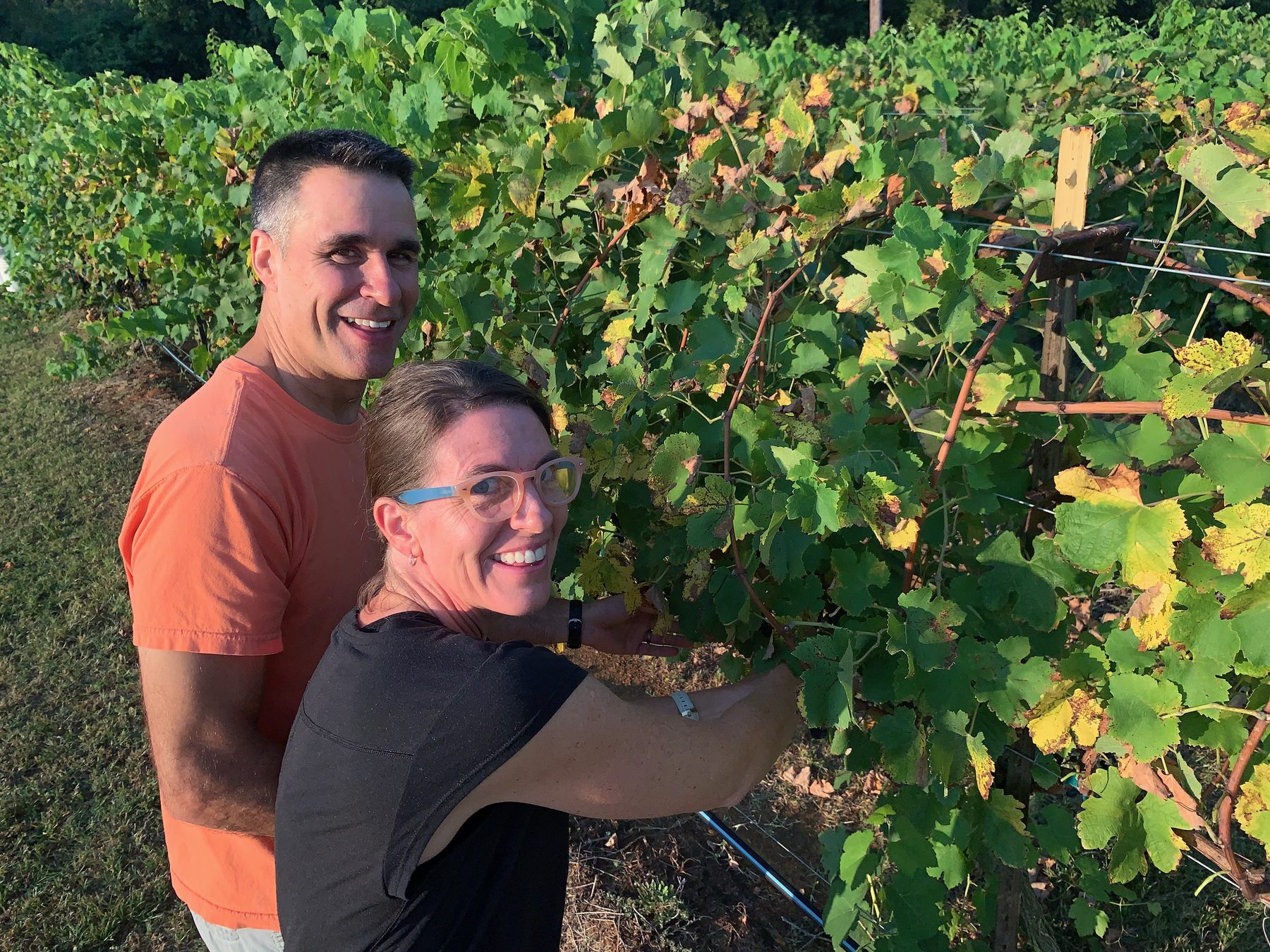 Mike and Heather among the vines on harvest day